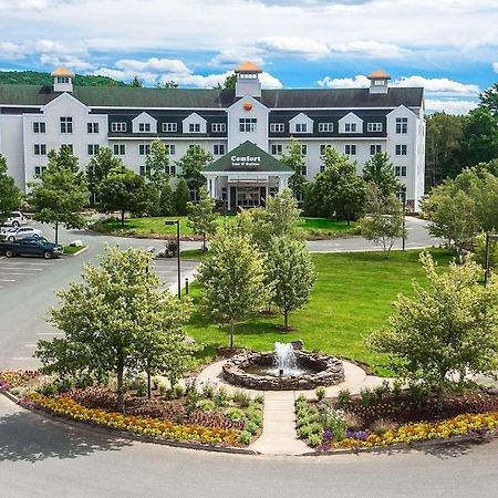 Comfort Inn & Suites Near Burke Mountain Saint Johnsbury Ngoại thất bức ảnh